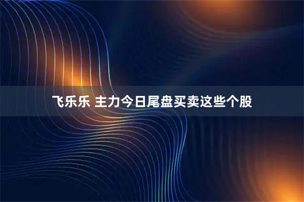 飞乐乐 主力今日尾盘买卖这些个股